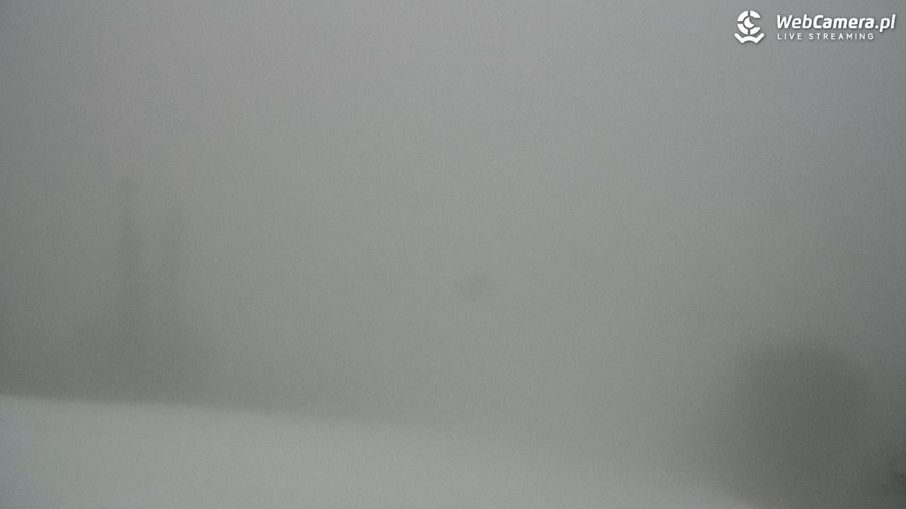 Zawoja - Mosorny Groń - 07 luty 2026, 13:07