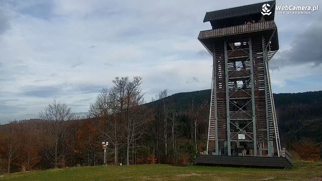 Zawoja - Mosorny Groń - 02 listopad 2025, 13:29