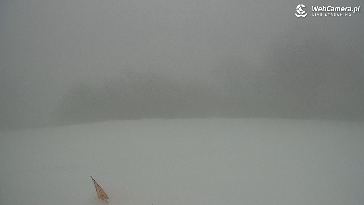 Zawoja - Mosorny Groń - 29 marzec 2026, 15:17