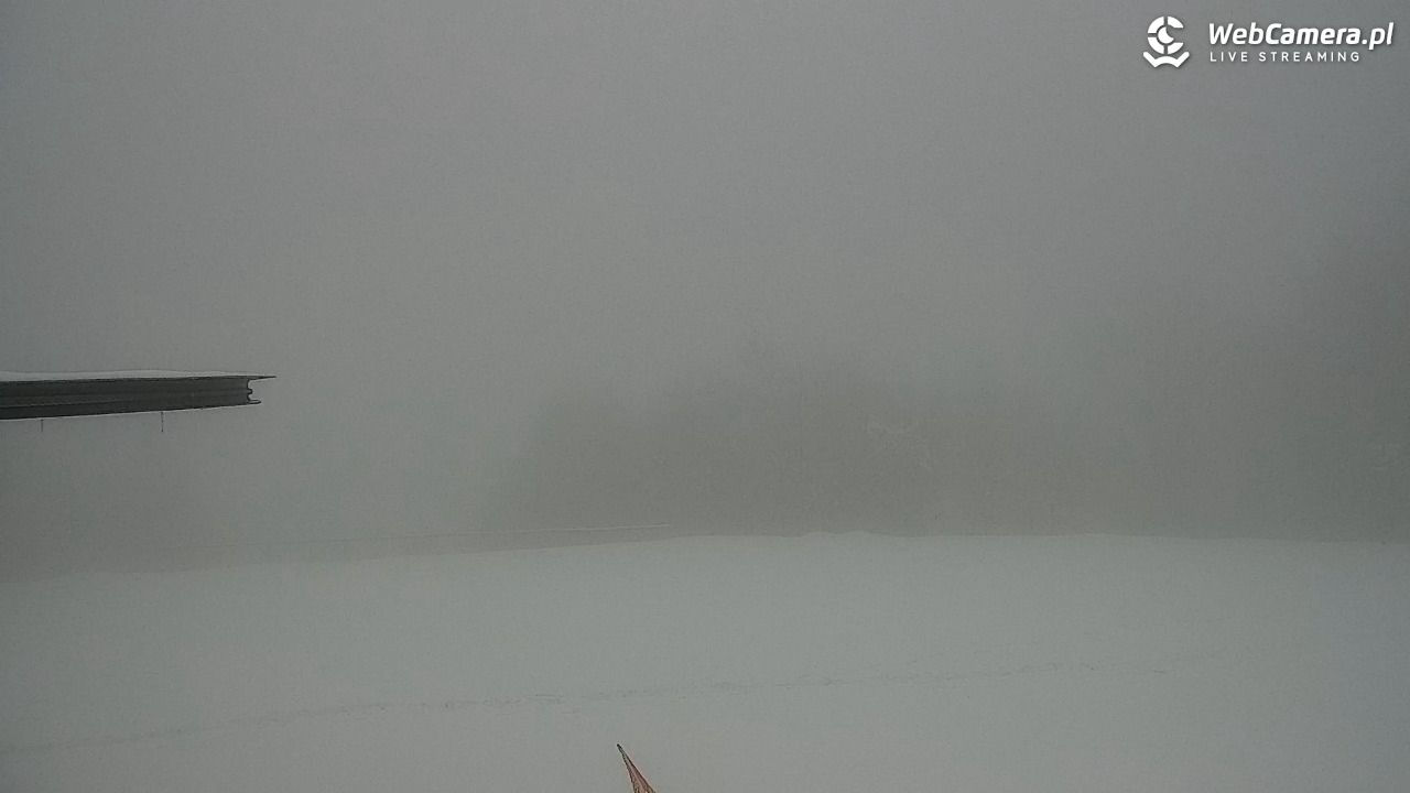 Zawoja - Mosorny Groń - 29 marzec 2026, 15:34