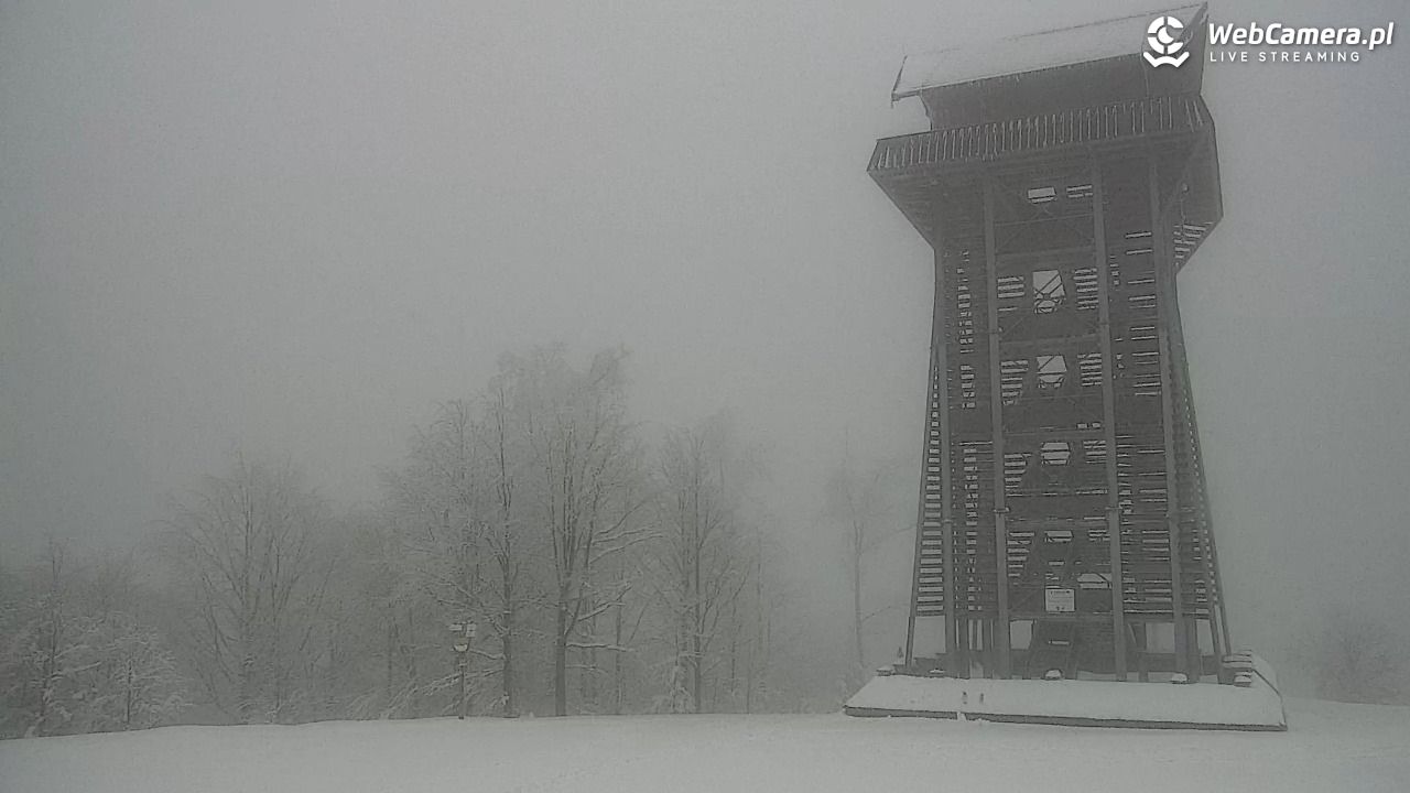 Zawoja - Mosorny Groń - 28 marzec 2026, 16:40