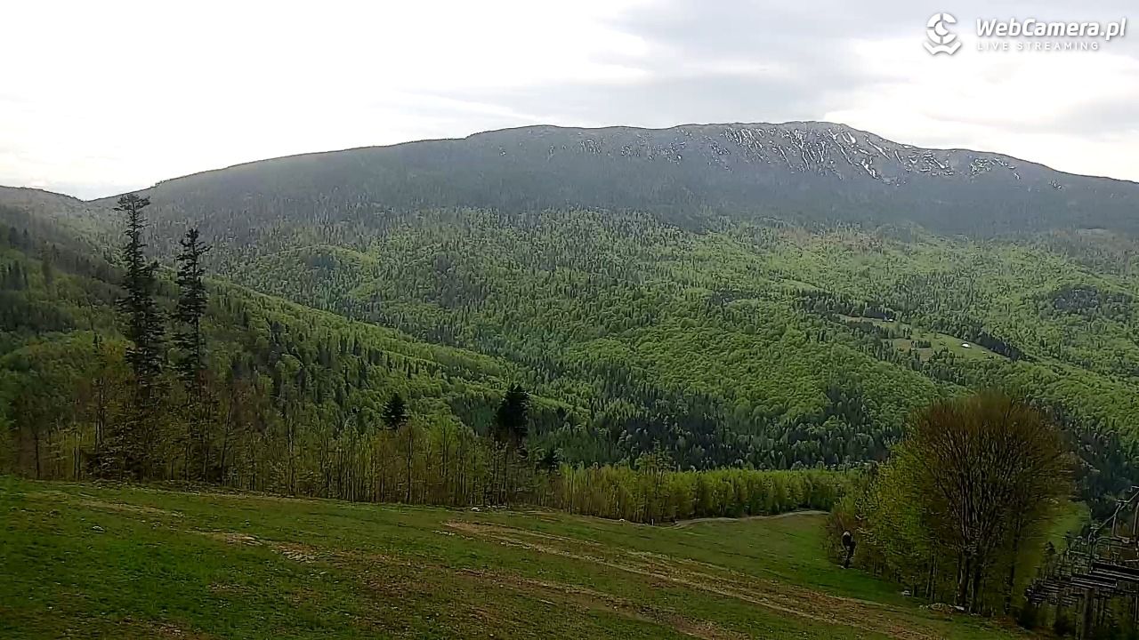 Zawoja - Mosorny Groń - 14 maj 2026, 11:06