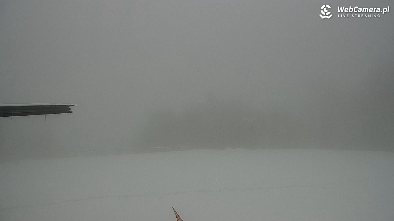 Zawoja - Mosorny Groń - 29 marzec 2026, 15:34