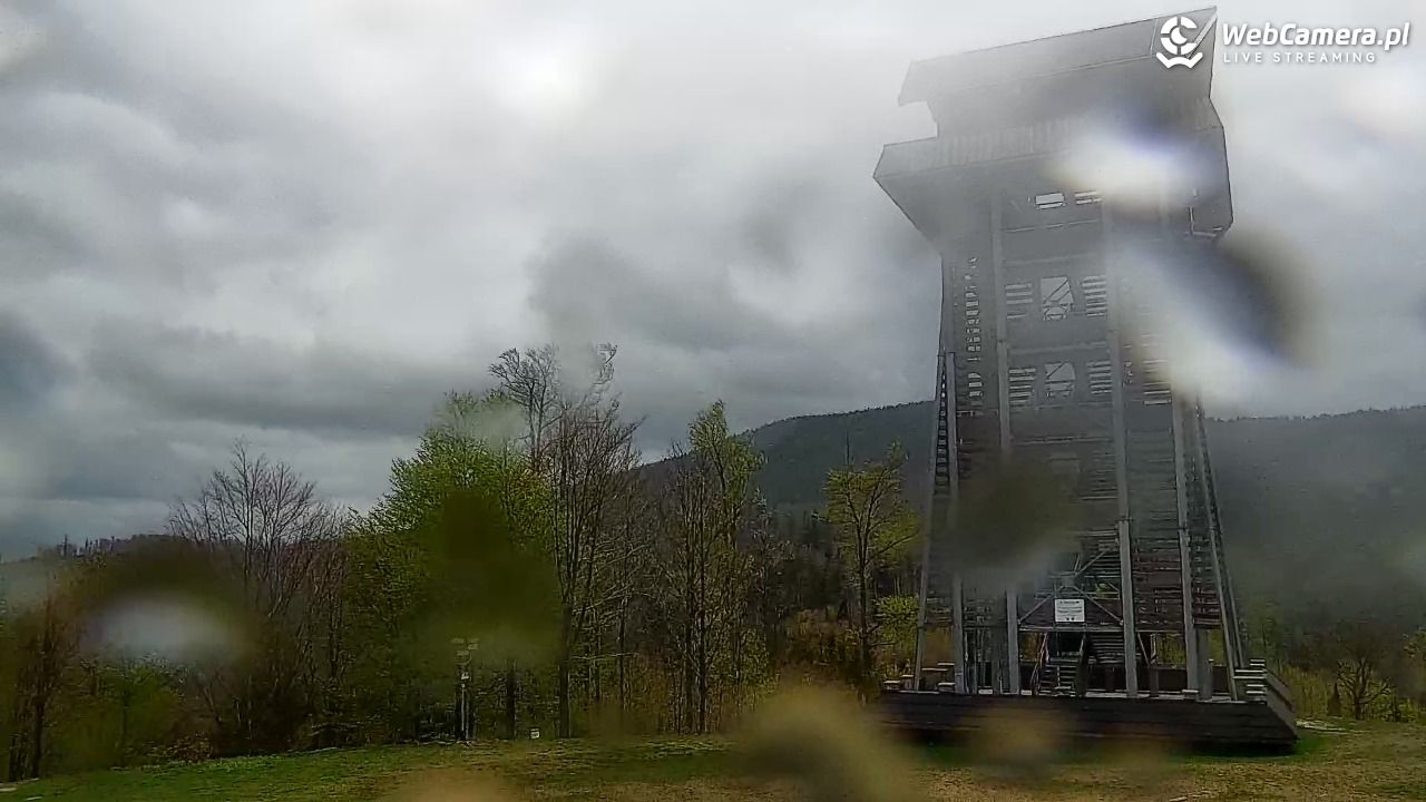 Zawoja - Mosorny Groń - 15 maj 2026, 10:19