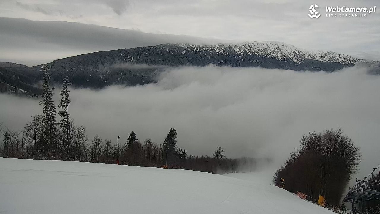 Zawoja - Mosorny Groń - 09 luty 2026, 07:55