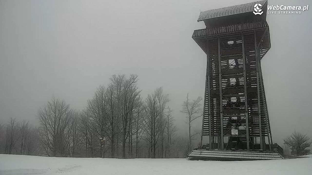 Zawoja - Mosorny Groń - 08 luty 2026, 10:14