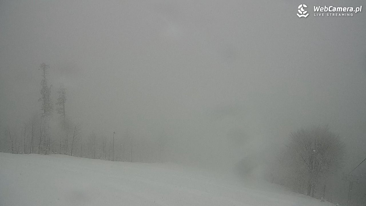 Zawoja - Mosorny Groń - 27 marzec 2026, 13:09