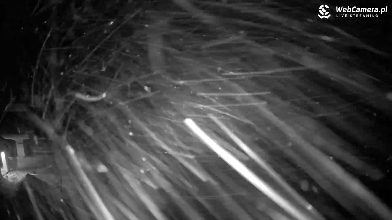 Jaworzyna Krynicka - widok na kolej Harnaś Express NOWOŚĆ - 11 styczeń 2026, 06:31