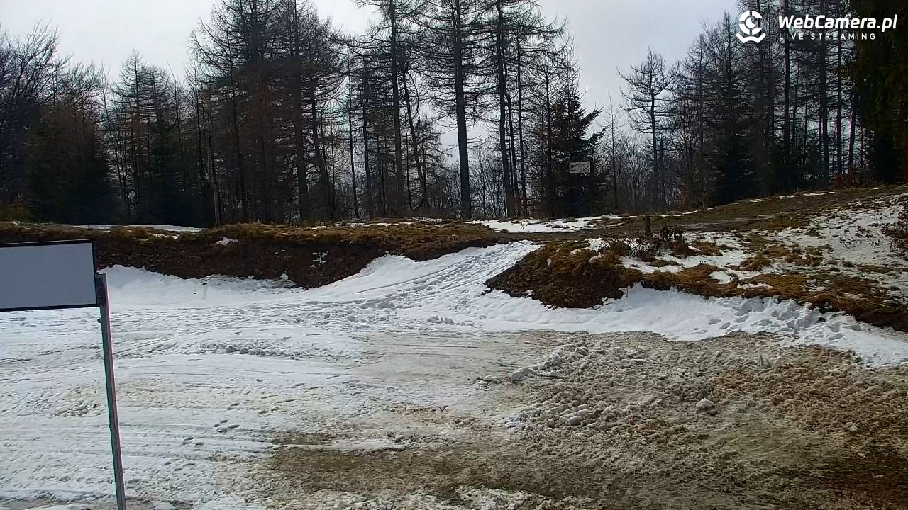 Jaworzyna Krynicka - trasa niebieska nr 7 - 29 marzec 2026, 13:40