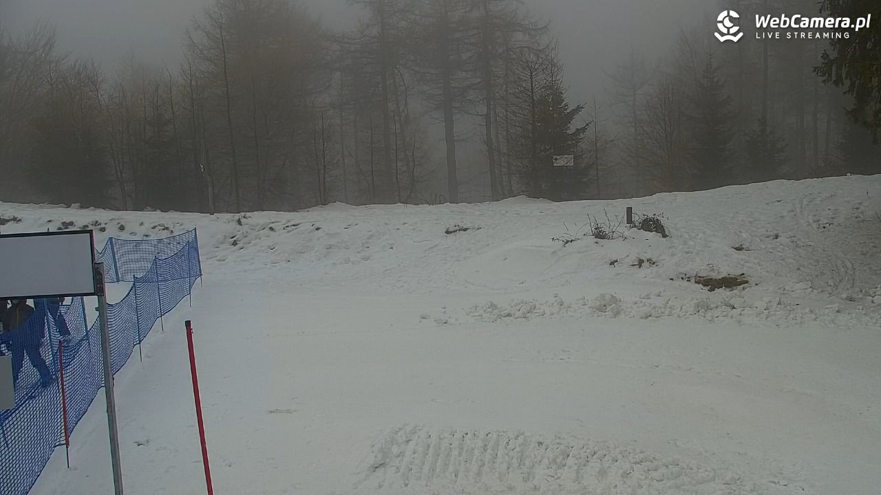 Jaworzyna Krynicka - trasa niebieska nr 7 - 06 luty 2026, 13:42