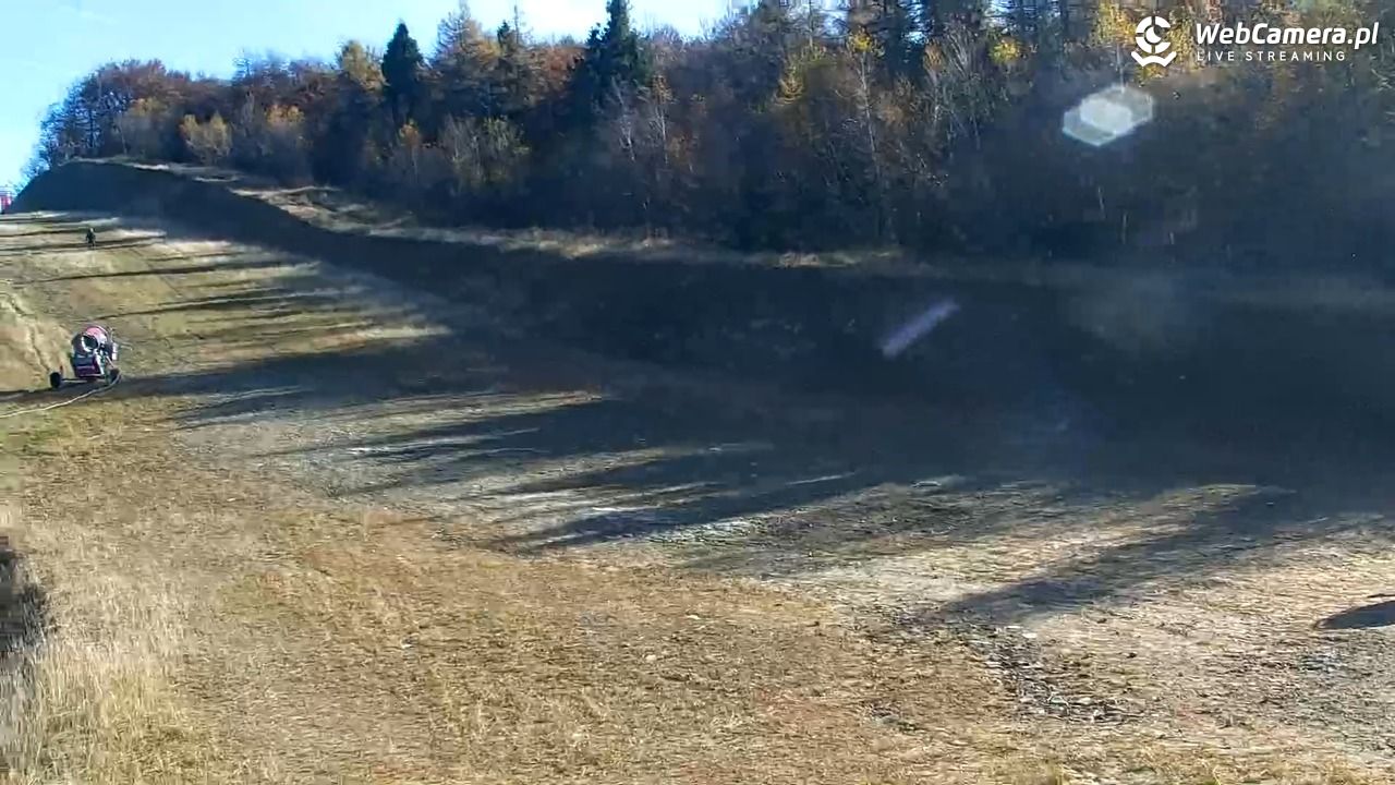 Jaworzyna Krynicka - trasa niebieska nr 7 - 31 październik 2025, 12:09