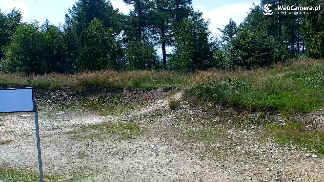 Jaworzyna Krynicka - trasa niebieska nr 7 - 19 lipiec 2026, 12:06