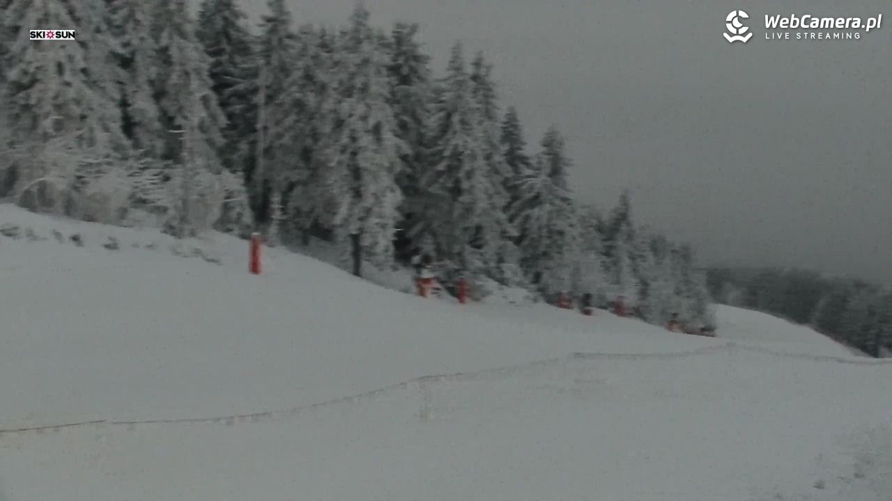 Świeradów Zdrój - 31 styczeń 2026, 07:10