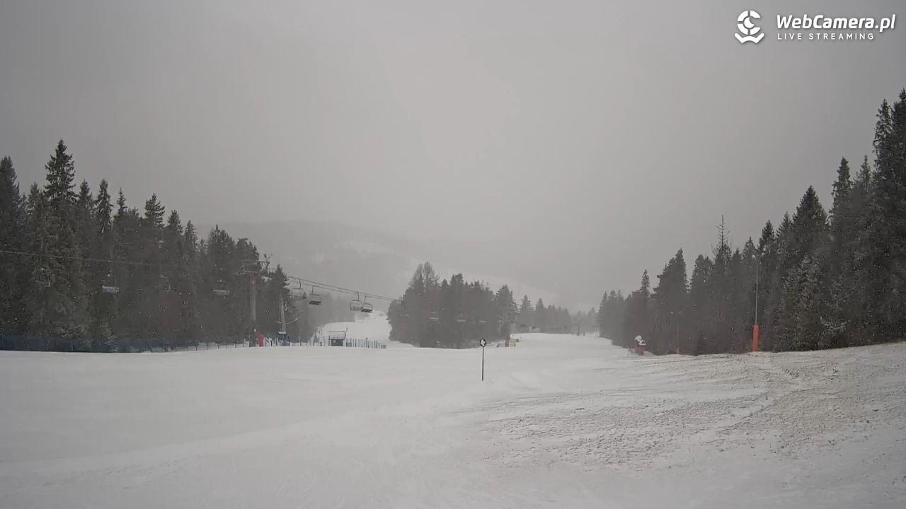 Wierchomla - widok na trasy - 15 luty 2026, 09:10