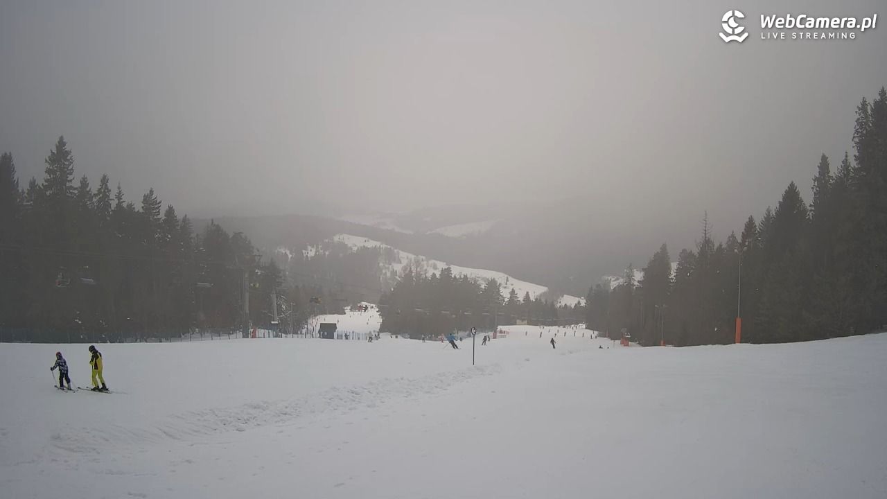 Wierchomla - widok na trasy - 24 styczeń 2026, 11:10