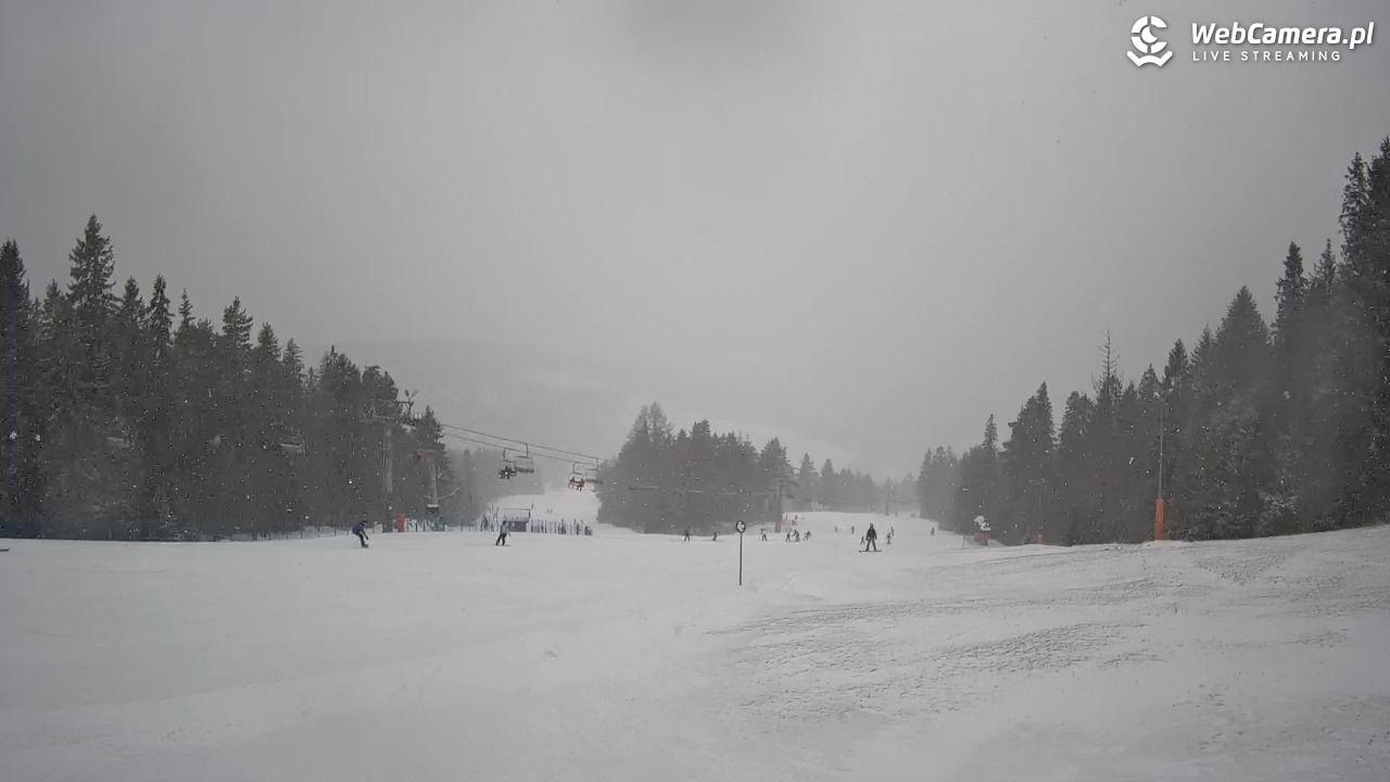 Wierchomla - widok na trasy - 15 luty 2026, 13:19