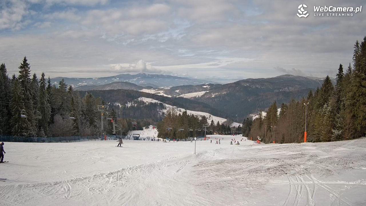 Wierchomla - widok na trasy - 17 luty 2026, 11:46