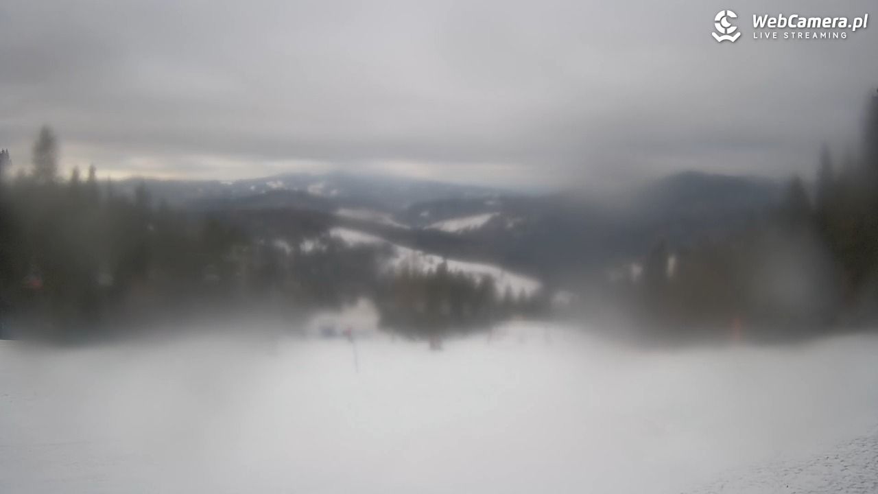 Wierchomla - widok na trasy - 29 grudzień 2025, 11:41
