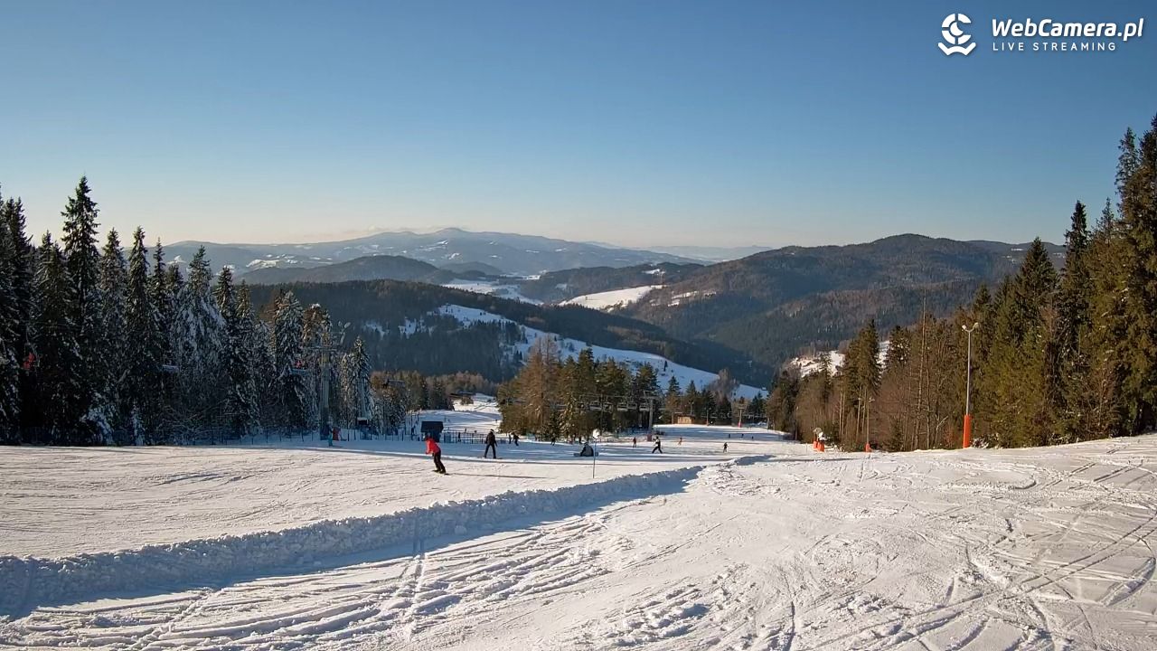 Wierchomla - widok na trasy - 17 styczeń 2026, 13:52