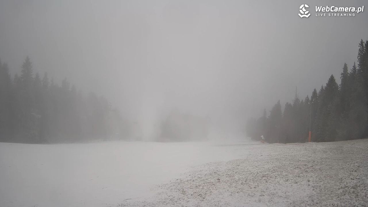 Wierchomla - widok na trasy - 24 grudzień 2025, 08:17