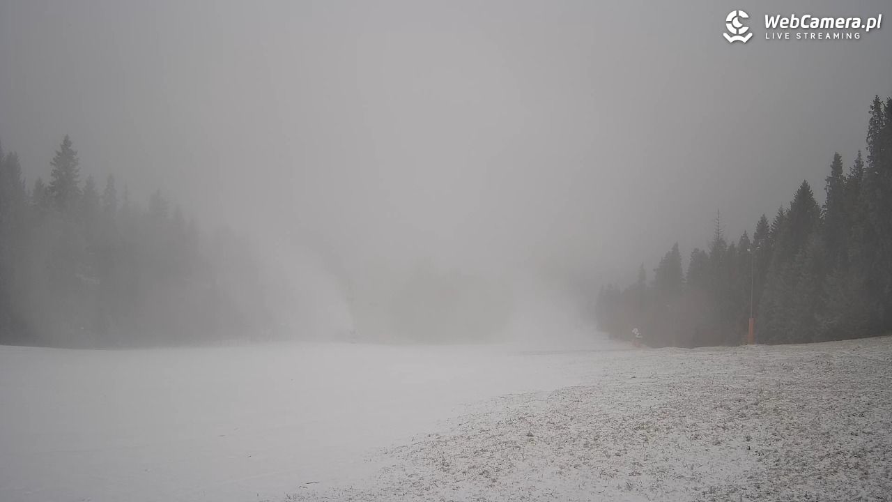 Wierchomla - widok na trasy - 24 grudzień 2025, 11:00