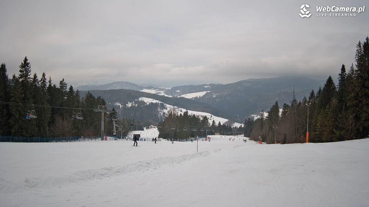 Wierchomla - widok na trasy - 25 styczeń 2026, 13:08