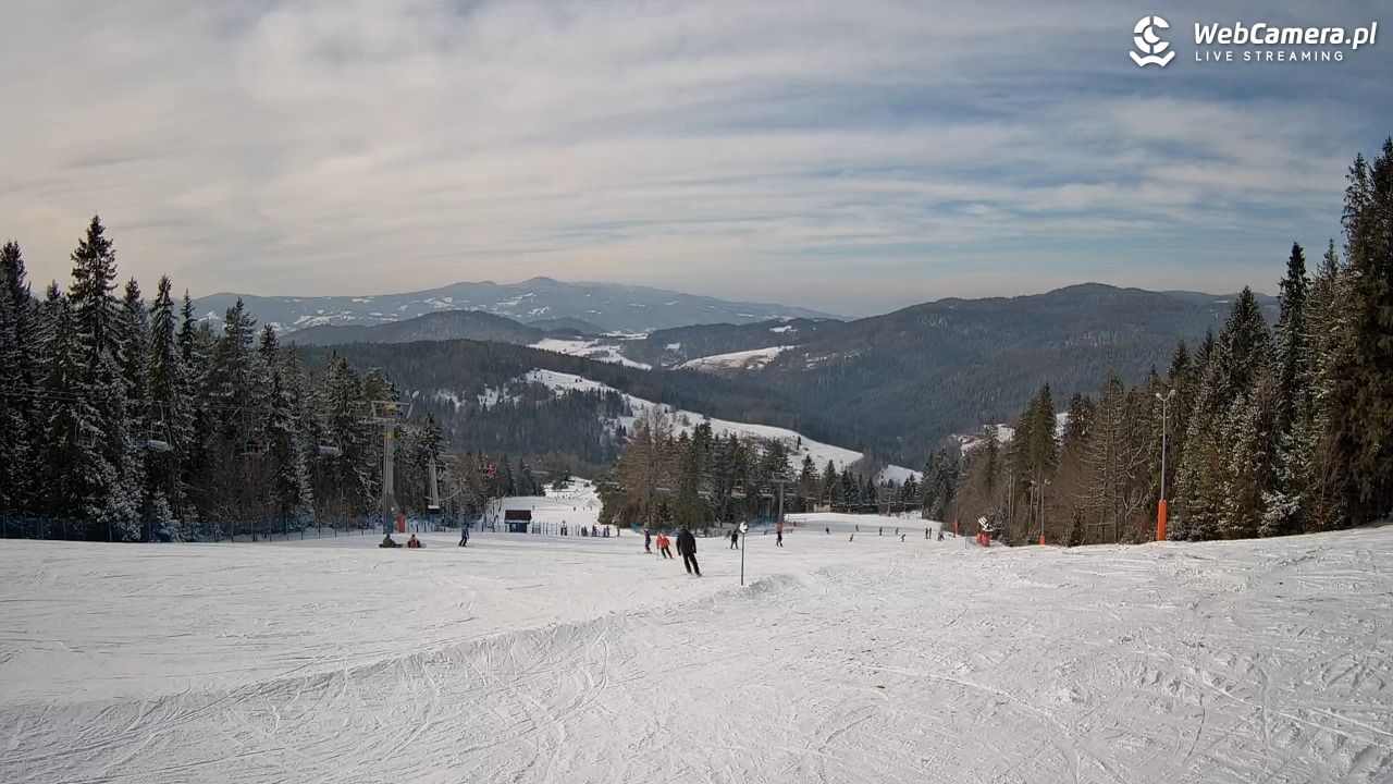 Wierchomla - widok na trasy - 20 luty 2026, 13:32