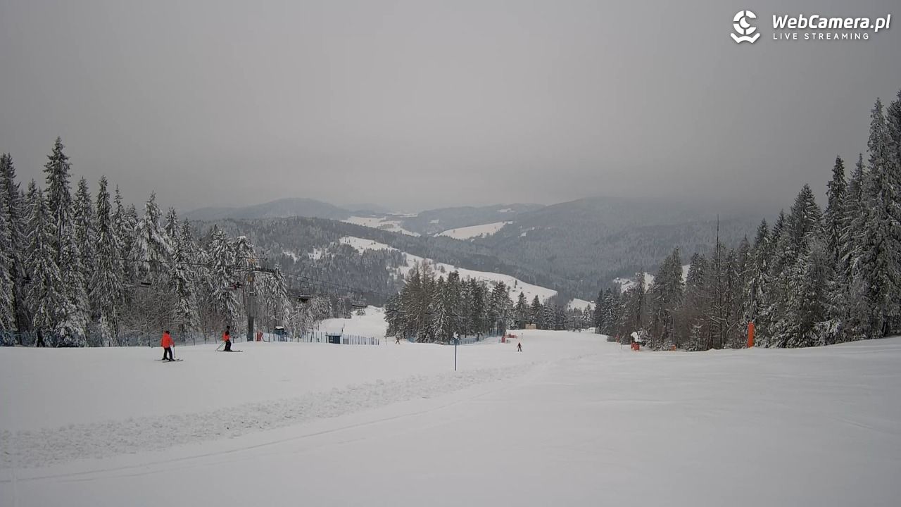 Wierchomla - widok na trasy - 14 styczeń 2026, 13:22