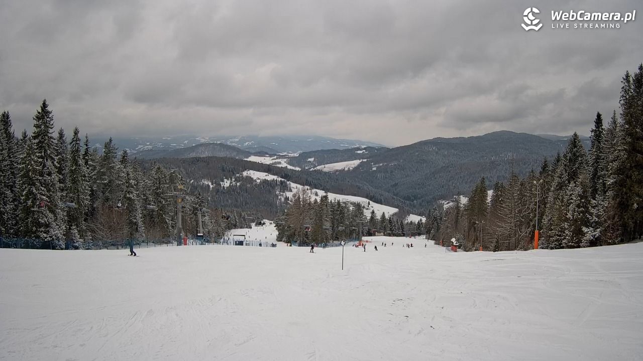 Wierchomla - widok na trasy - 19 luty 2026, 12:51