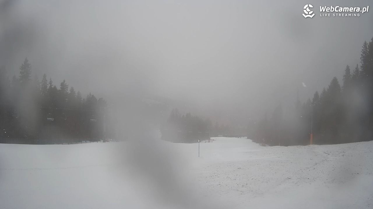 Wierchomla - widok na trasy - 24 luty 2026, 08:19