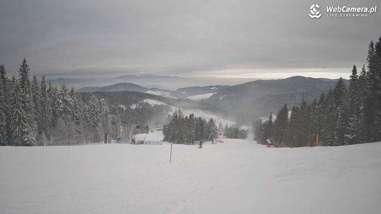 Wierchomla - widok na trasy - 10 styczeń 2026, 09:49