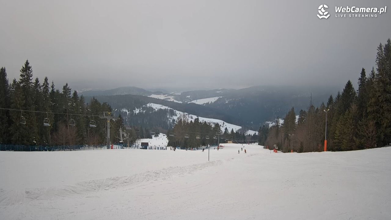 Wierchomla - widok na trasy - 24 styczeń 2026, 15:26