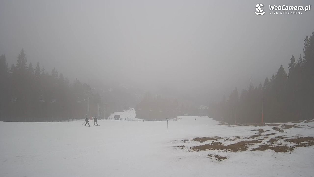 Wierchomla - widok na trasy - 08 luty 2026, 15:13