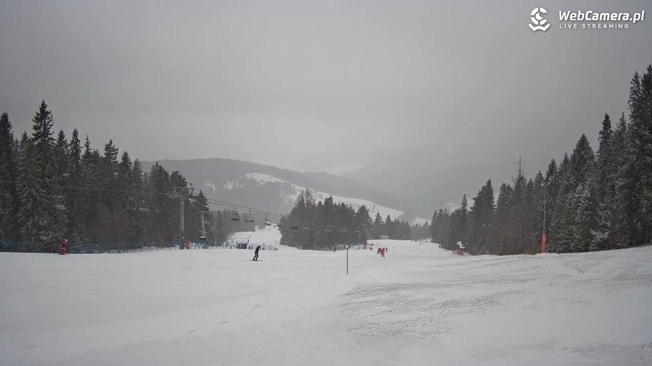 Wierchomla - widok na trasy - 15 luty 2026, 15:08