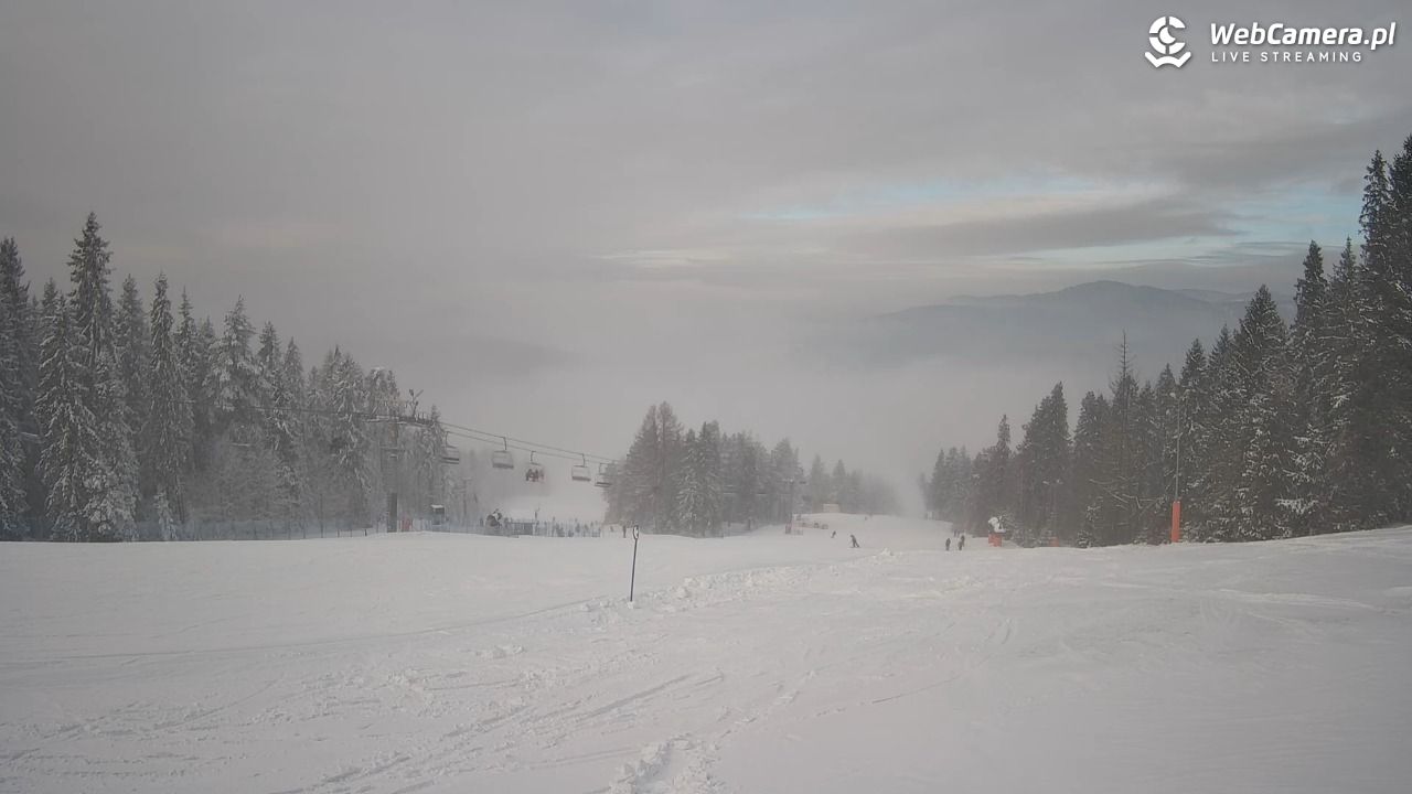 Wierchomla - widok na trasy - 10 styczeń 2026, 10:41