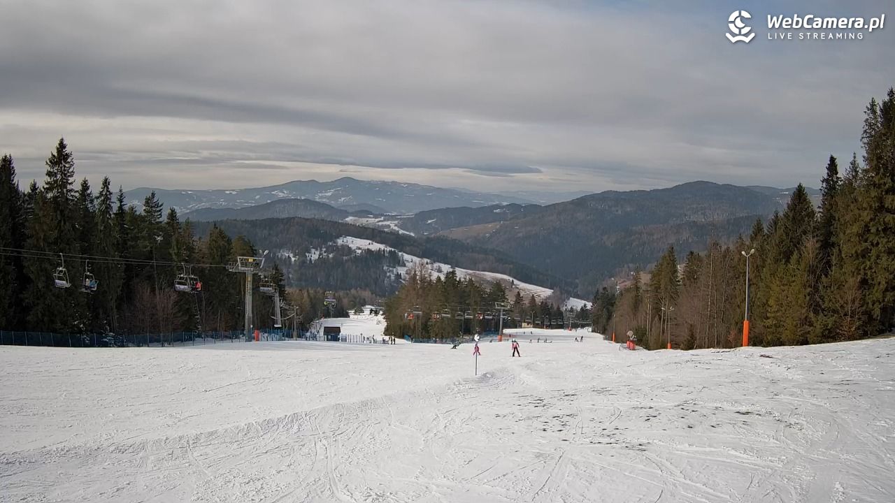 Wierchomla - widok na trasy - 22 luty 2026, 12:32