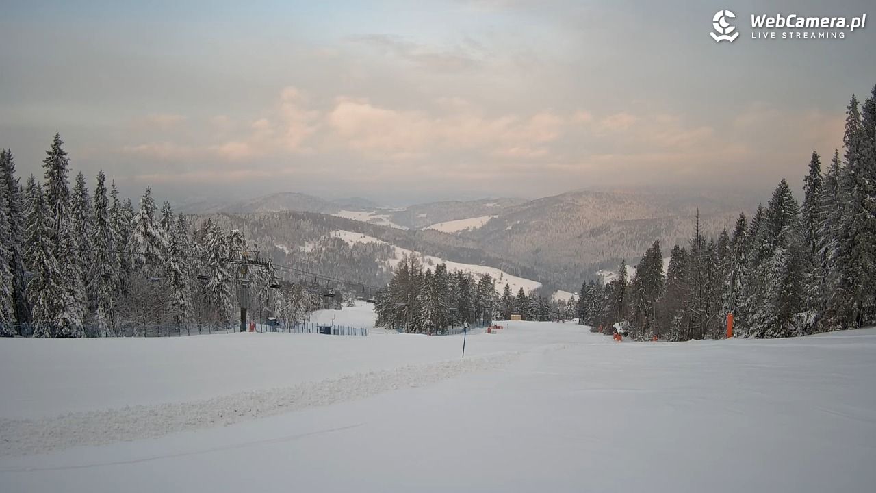 Wierchomla - widok na trasy - 14 styczeń 2026, 07:48