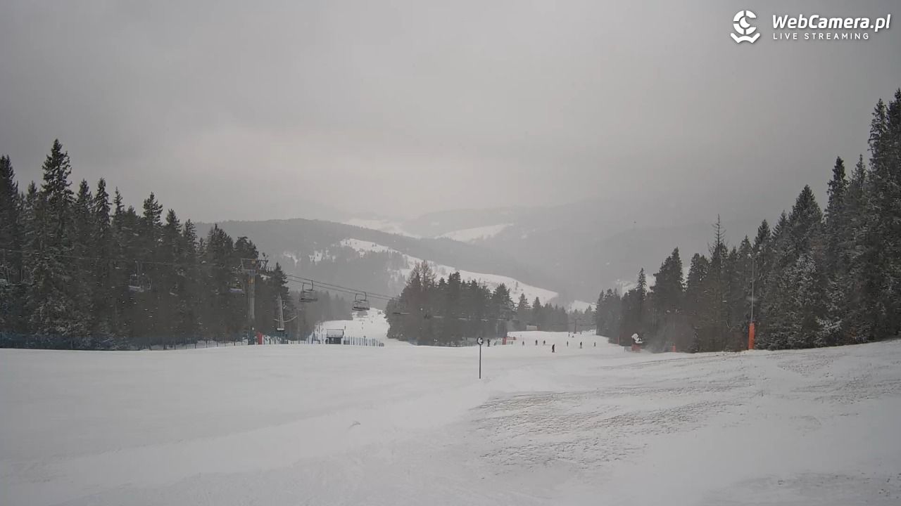Wierchomla - widok na trasy - 15 luty 2026, 15:55