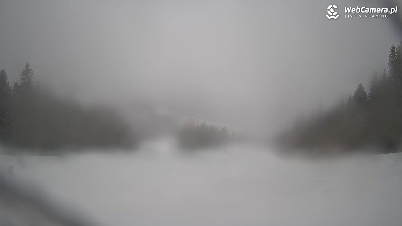 Wierchomla - widok na trasy - 25 luty 2026, 09:30