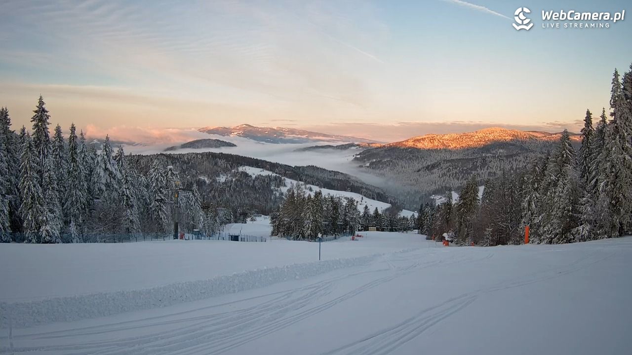 Wierchomla - widok na trasy - 15 styczeń 2026, 07:45