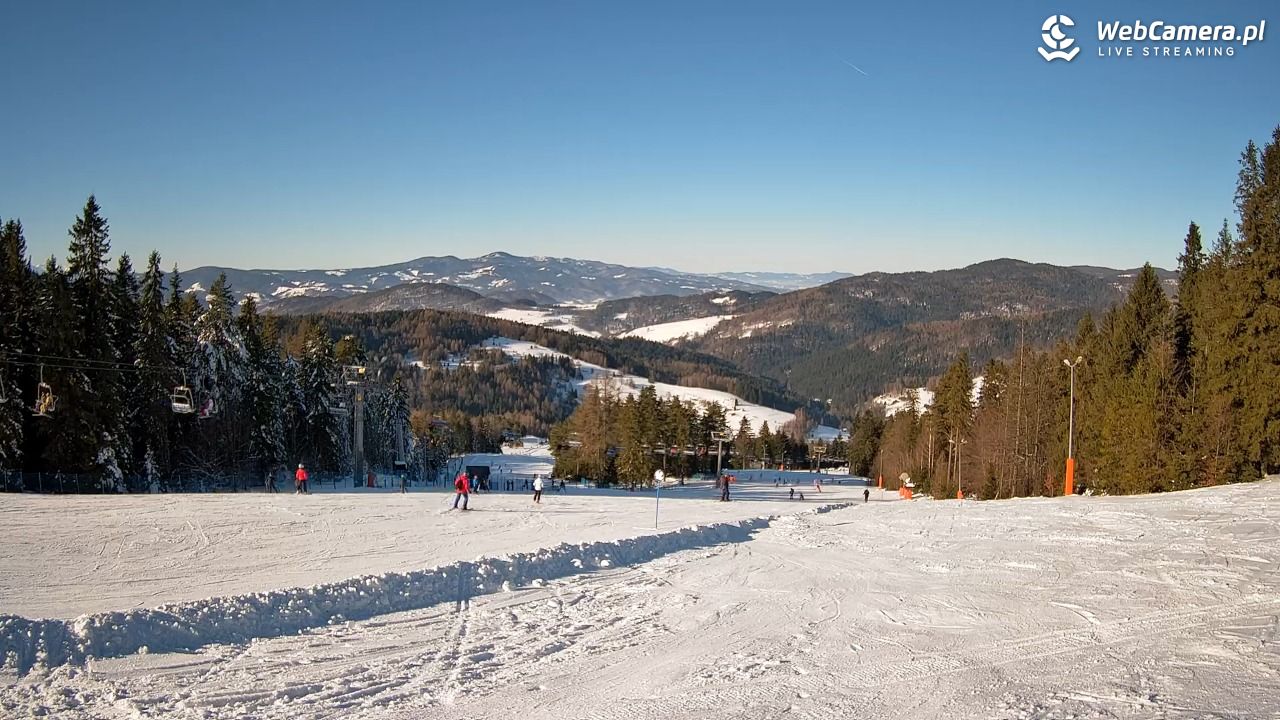Wierchomla - widok na trasy - 18 styczeń 2026, 11:11