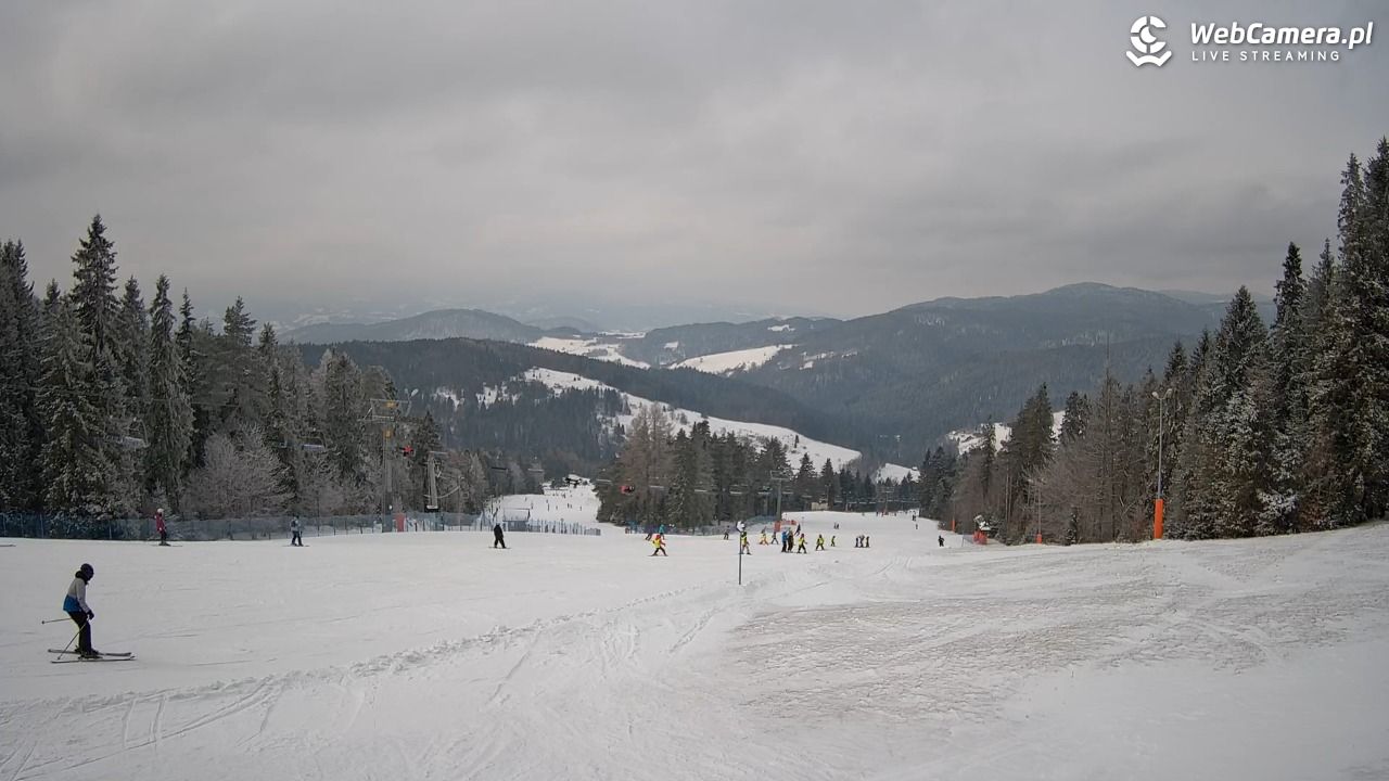 Wierchomla - widok na trasy - 16 luty 2026, 12:34