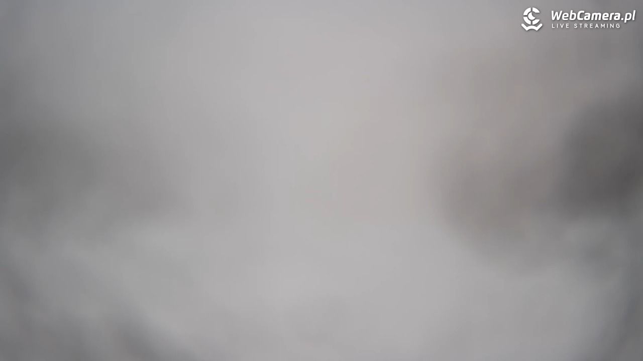 Wierchomla - widok na trasy - 25 luty 2026, 16:40