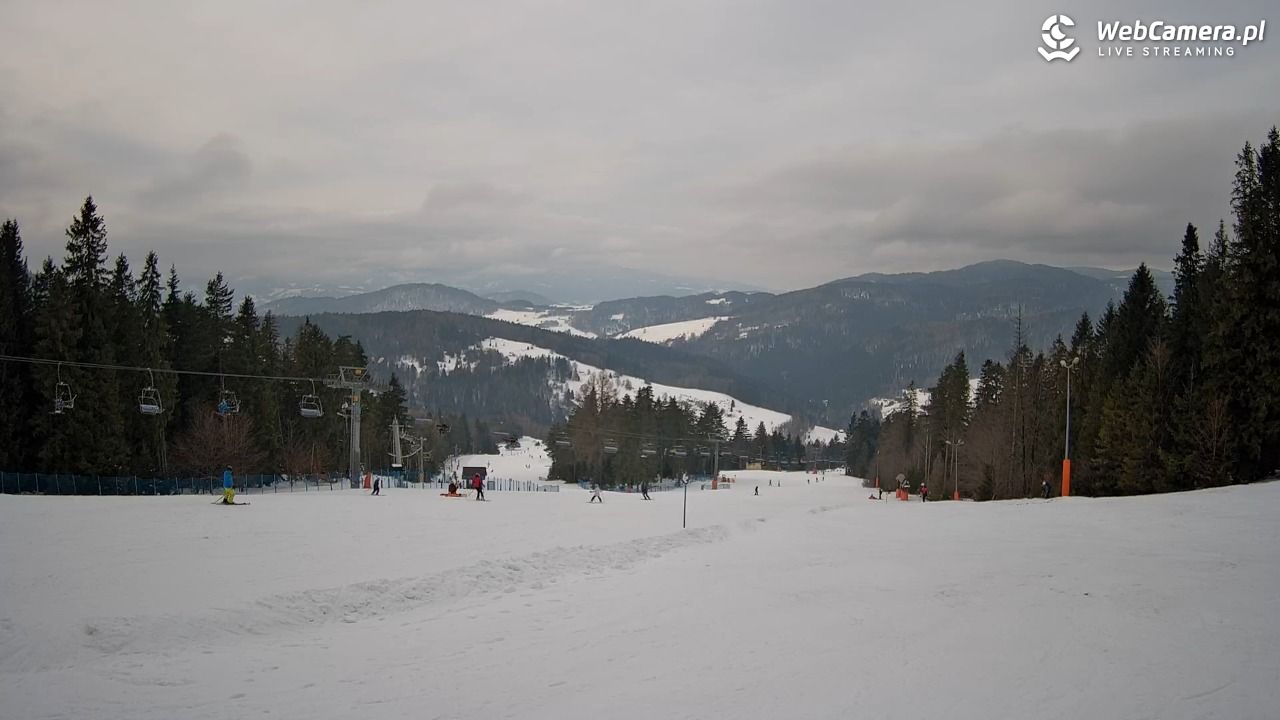 Wierchomla - widok na trasy - 25 styczeń 2026, 12:16