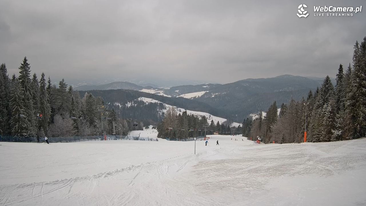 Wierchomla - widok na trasy - 16 luty 2026, 12:37