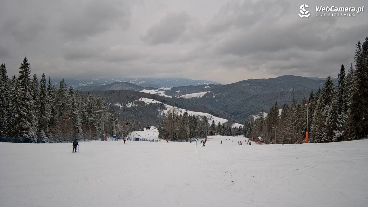 Wierchomla - widok na trasy - 19 luty 2026, 13:13