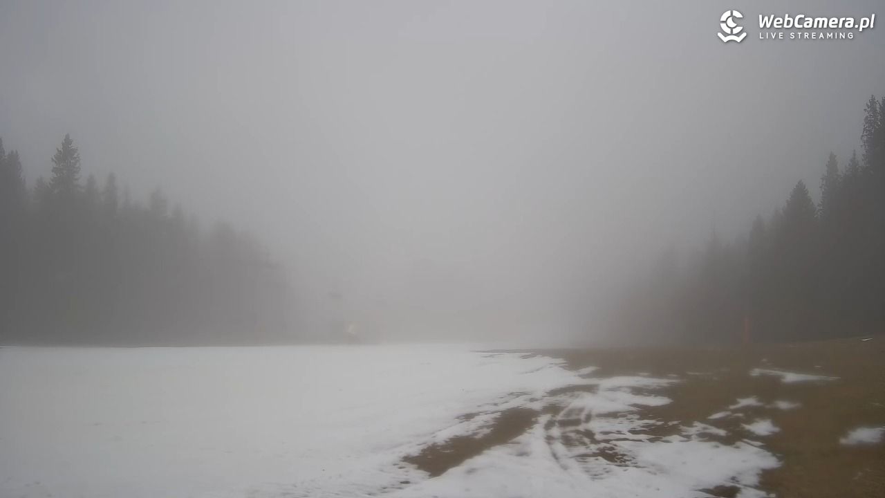 Wierchomla - widok na trasy - 11 grudzień 2025, 12:11