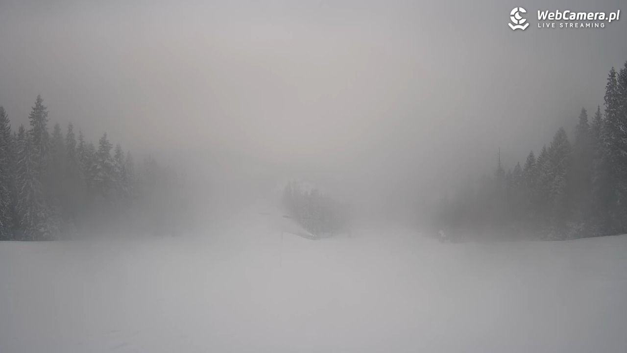 Wierchomla - widok na trasy - 08 styczeń 2026, 15:36