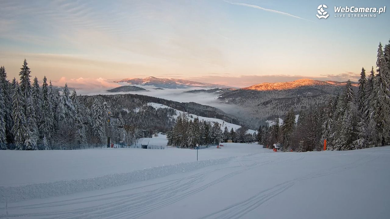Wierchomla - widok na trasy - 15 styczeń 2026, 07:44