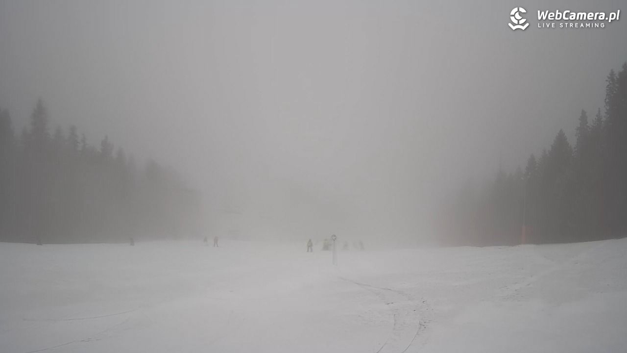 Wierchomla - widok na trasy - 24 luty 2026, 11:13